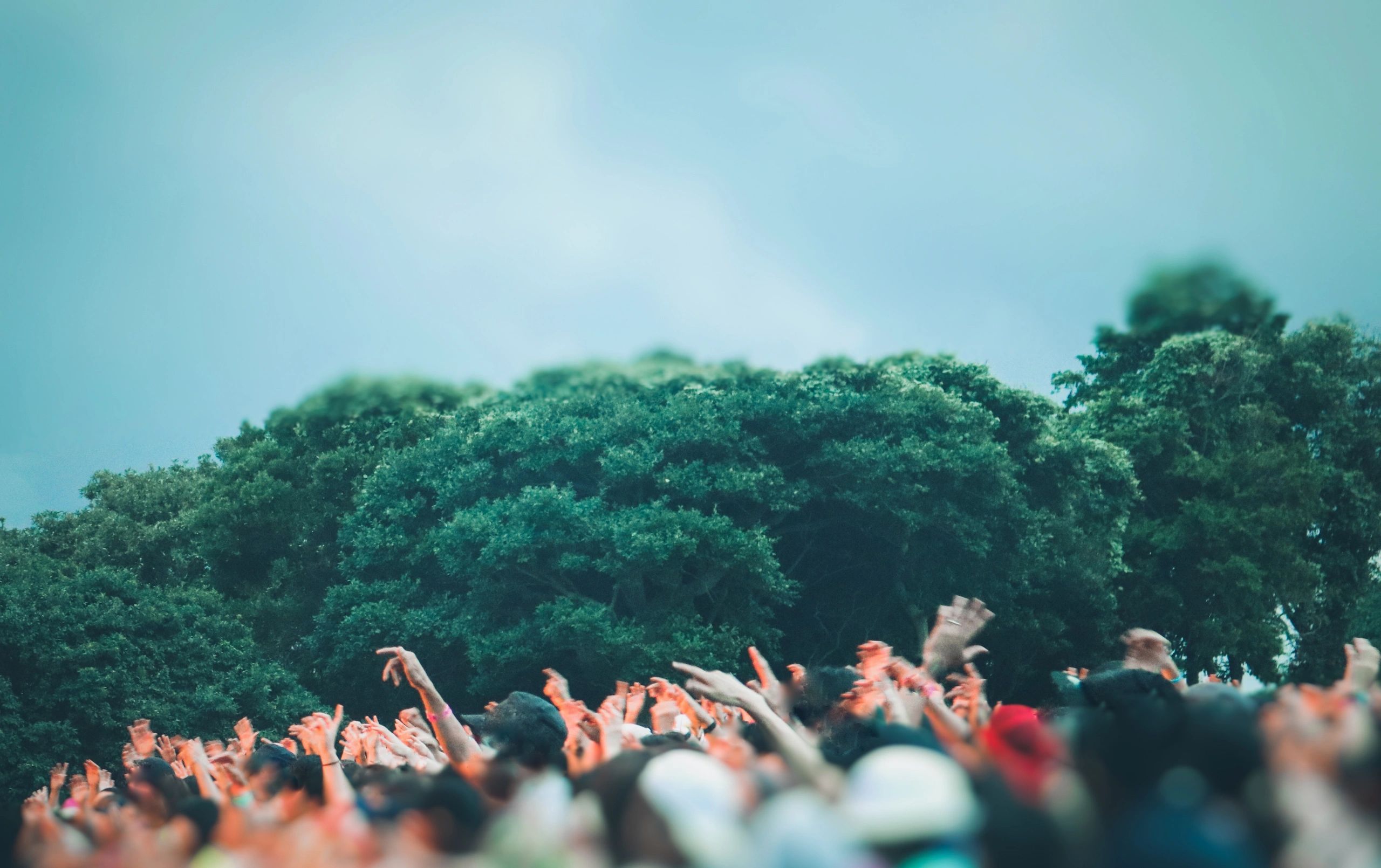 music concert audience